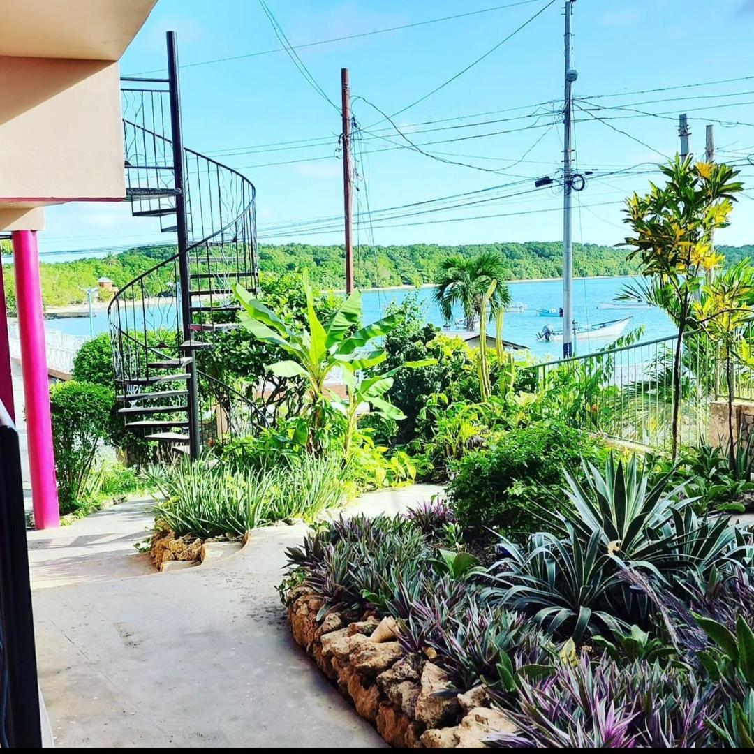The Seaside Garden Guesthouse Buccoo Exterior foto